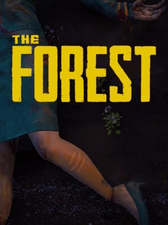 the forest cover