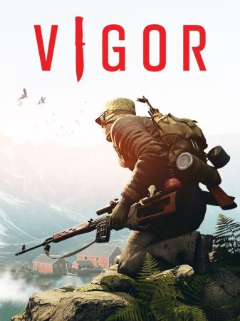 vigor cover